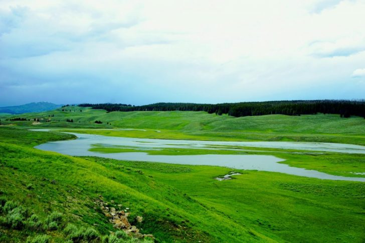 Best time to visit Yellowstone National Park, USA