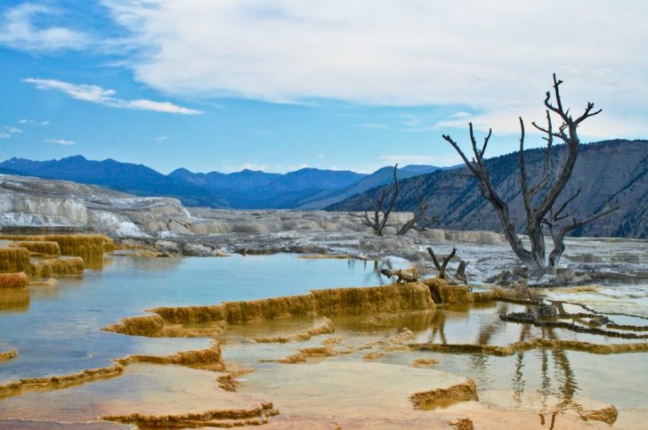 Best time to visit Yellowstone National Park, USA