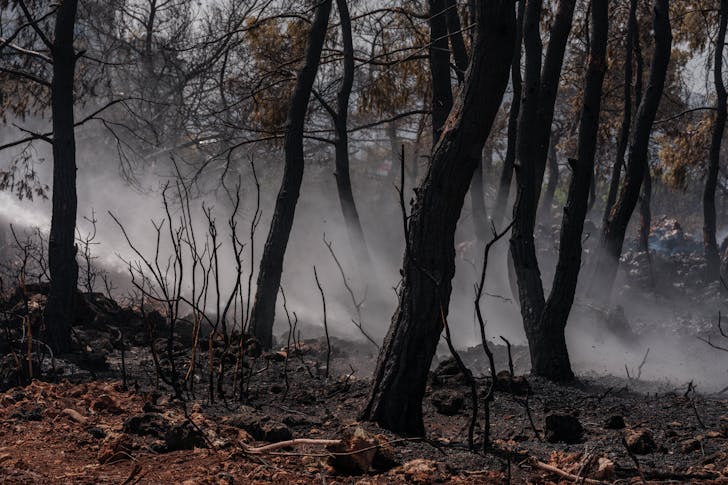 Breathing in wildfire smoke